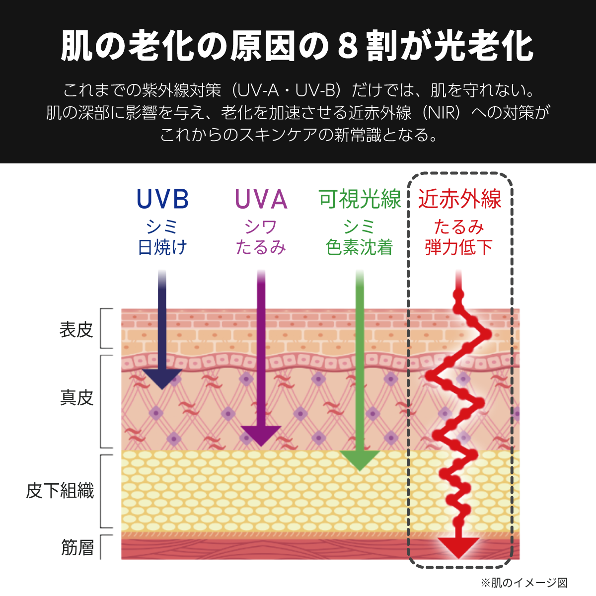 【予約販売 6月初旬頃入荷予定】UV&Heatプロテクトアンダーシャツ モックネック 紫外線 近赤外線 同時カット UPF50+